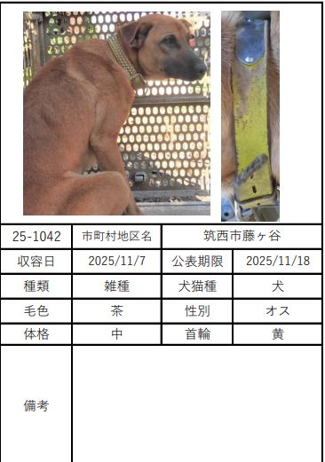 ただいま昼寝中 on X