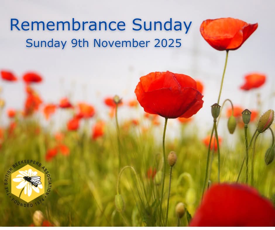 BBKA (@britishbee) on Twitter photo 