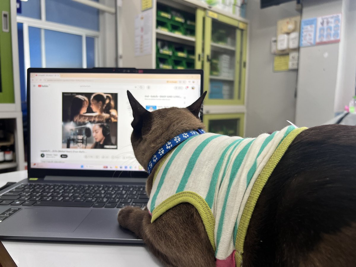 3137Ploy's tweet photo. โกโก้เป็นสาววายยยยค่ะ 😚 

PRESSURE
#พิษรักEP8 https://t.co/OdqkFSoSMj