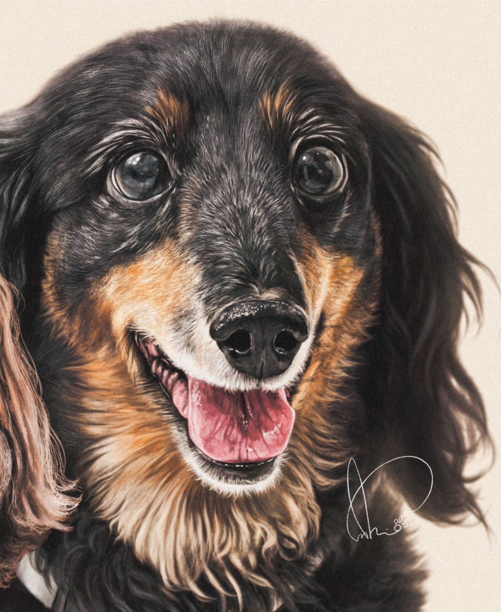 ☆アネモネ☆様♡ありがとうございます♡ ポストカード ねこあついにゃー - ARANZINET ONLINESHOP