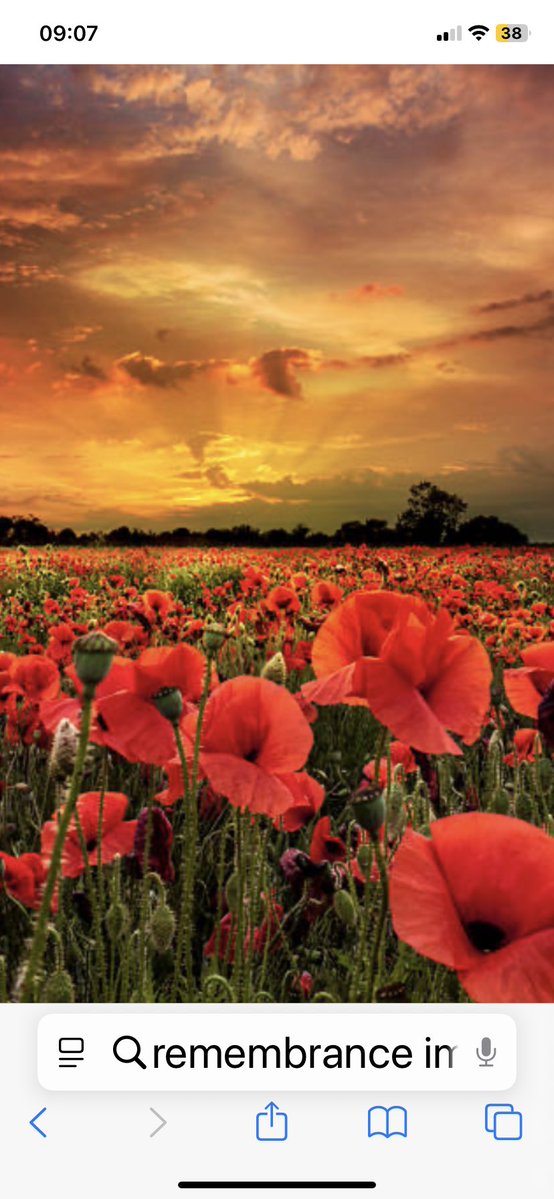 dockafc's tweet image. Least we forget 💚