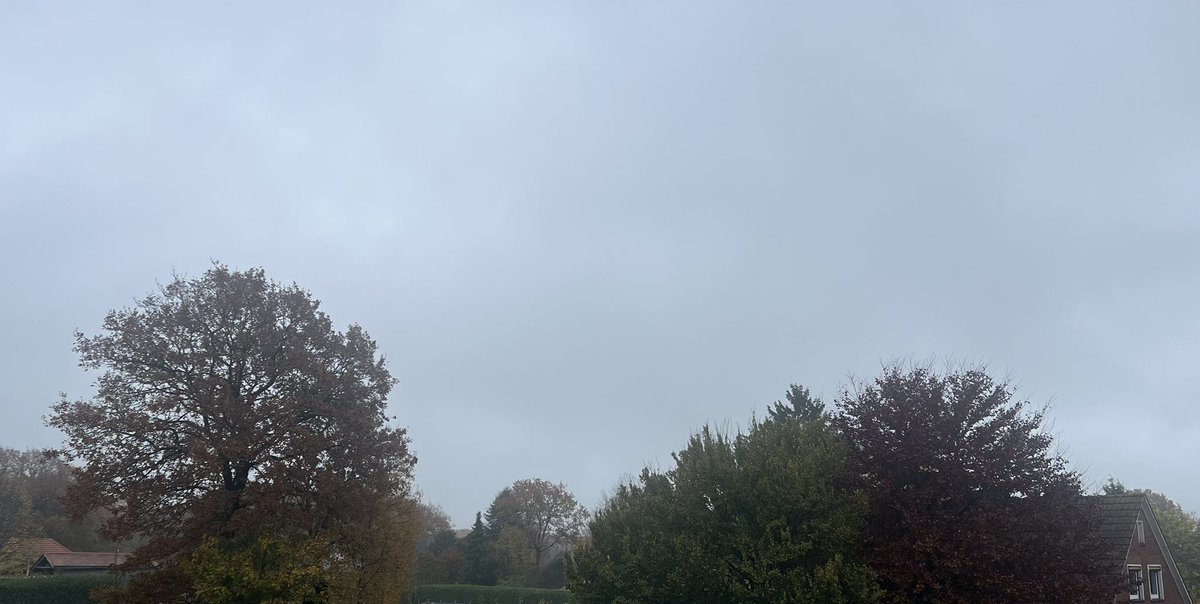 Grau mit grün und dennoch ist #LOstfriesland wunderschön 🥰