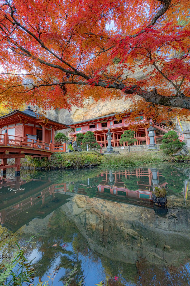 御堂　赤松　岩手県産　山木　山採り　懸崖　希少 御堂 赤松 岩手県産 山木 山採り 懸崖 希少 御堂赤松岩手県産山木山