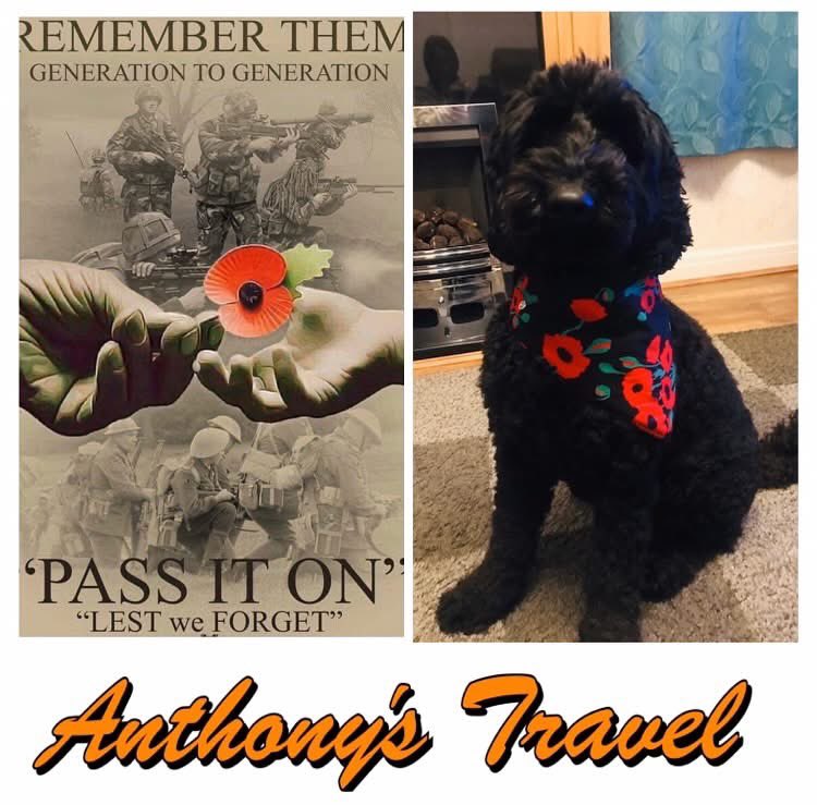 ANTHONYS TRAVEL (@anthonystravel) on Twitter photo 