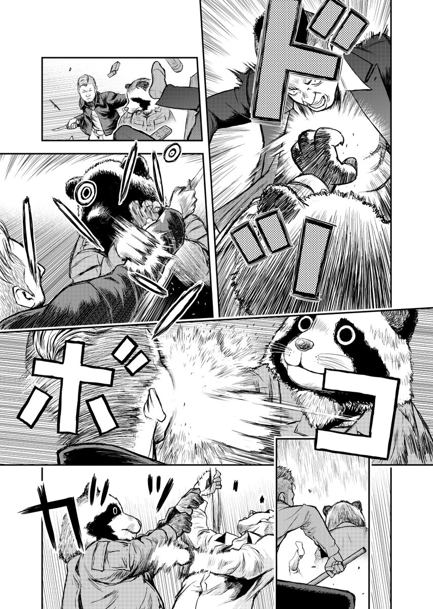 タヌキが話題なのでうちの戦闘タヌキも見てほしい 