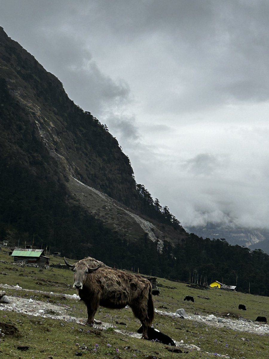 TechiHachi1's tweet image. Unplanned….