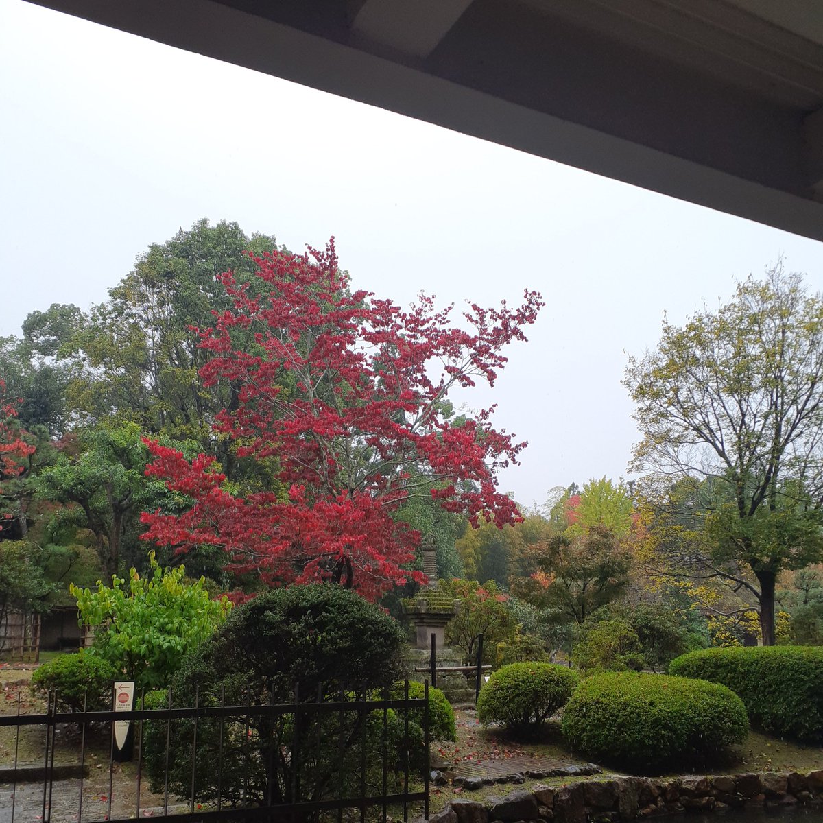 お昼寝猫(ΦωΦ)戀という字を分析すれば糸し糸しと言う心🌿 on X