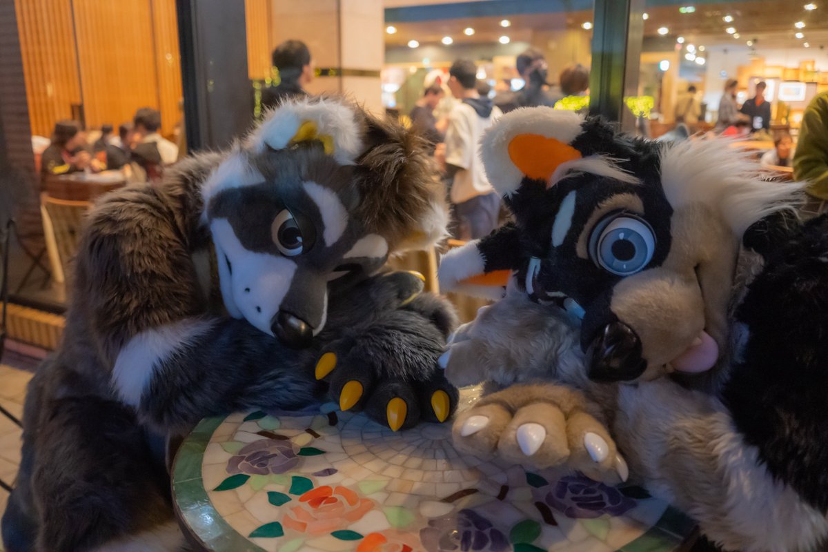 ウィーバーたなかメンタルクリニックwith足が痛い
ガチめに元気貰えました😇
ありがとうございました😆

 #kemocon18