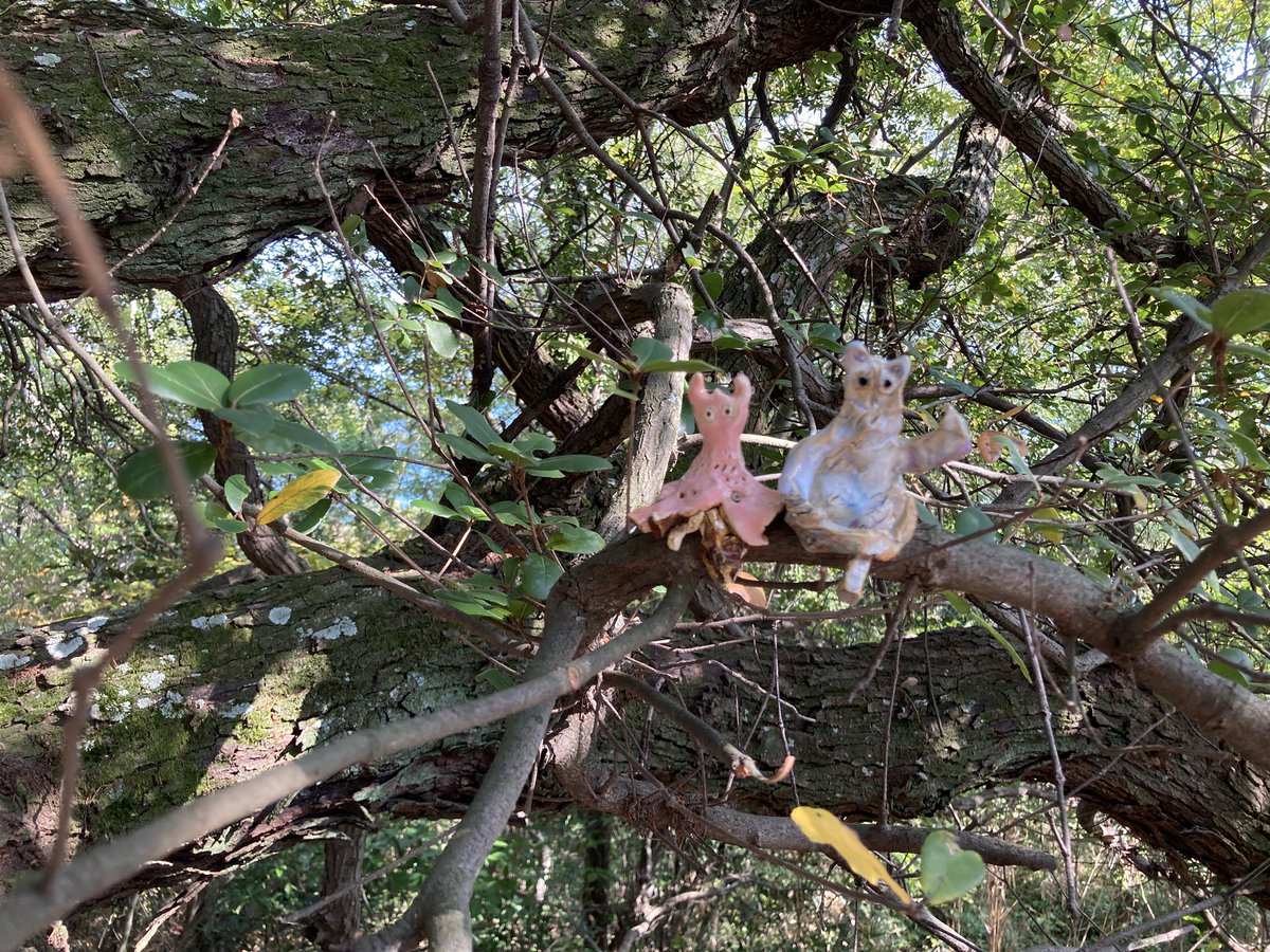 高見島は、淺井裕介さんの作品探しが楽しすぎた。