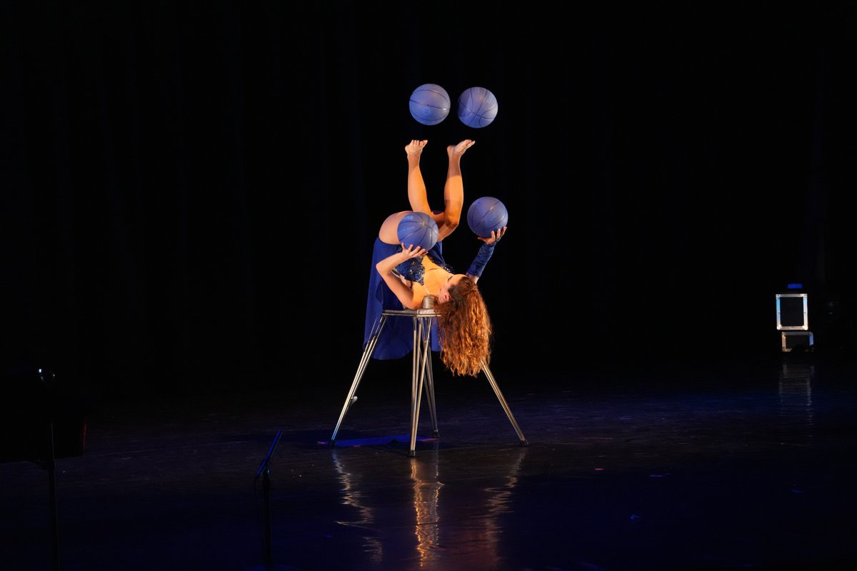 National Circus Festival of Ireland tweet media