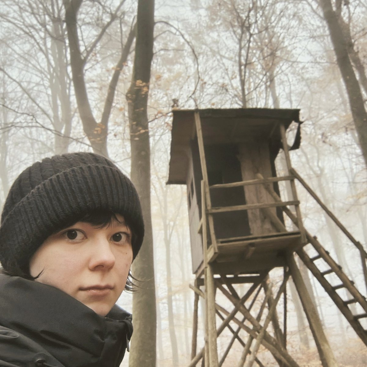 Вышла в немецкий лес, че-то птицы падают.