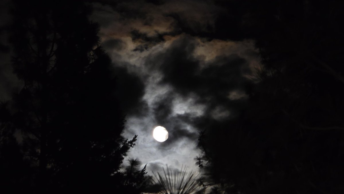 Larry M Leake (@larrymleake1) on Twitter photo 