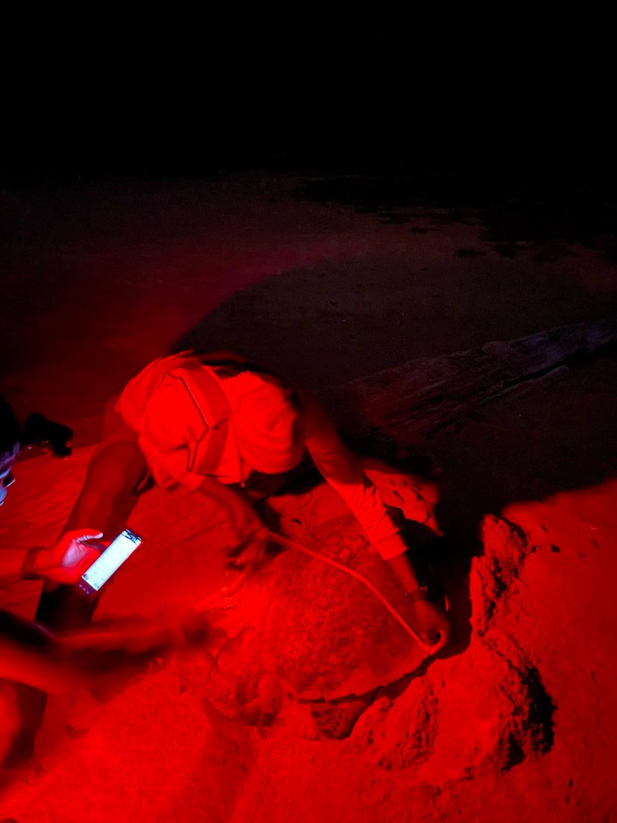 Tube Awú Ebodje tweet media