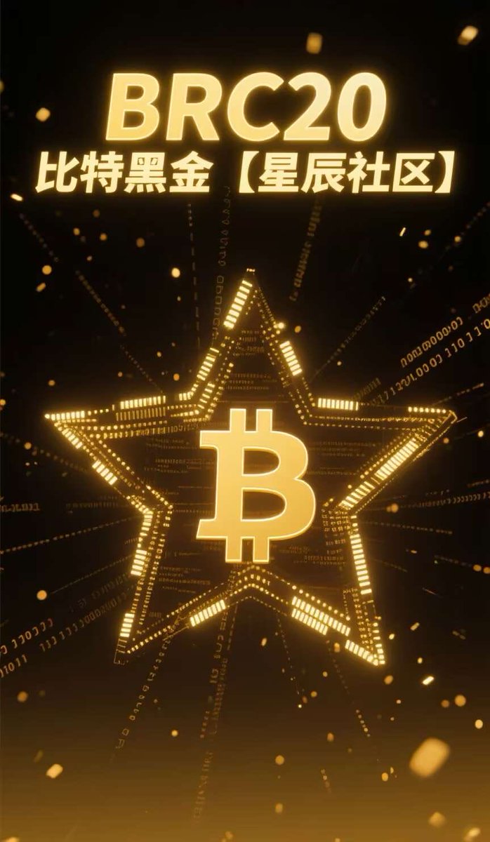 BRC20Bit 黑金𝜫 tweet media