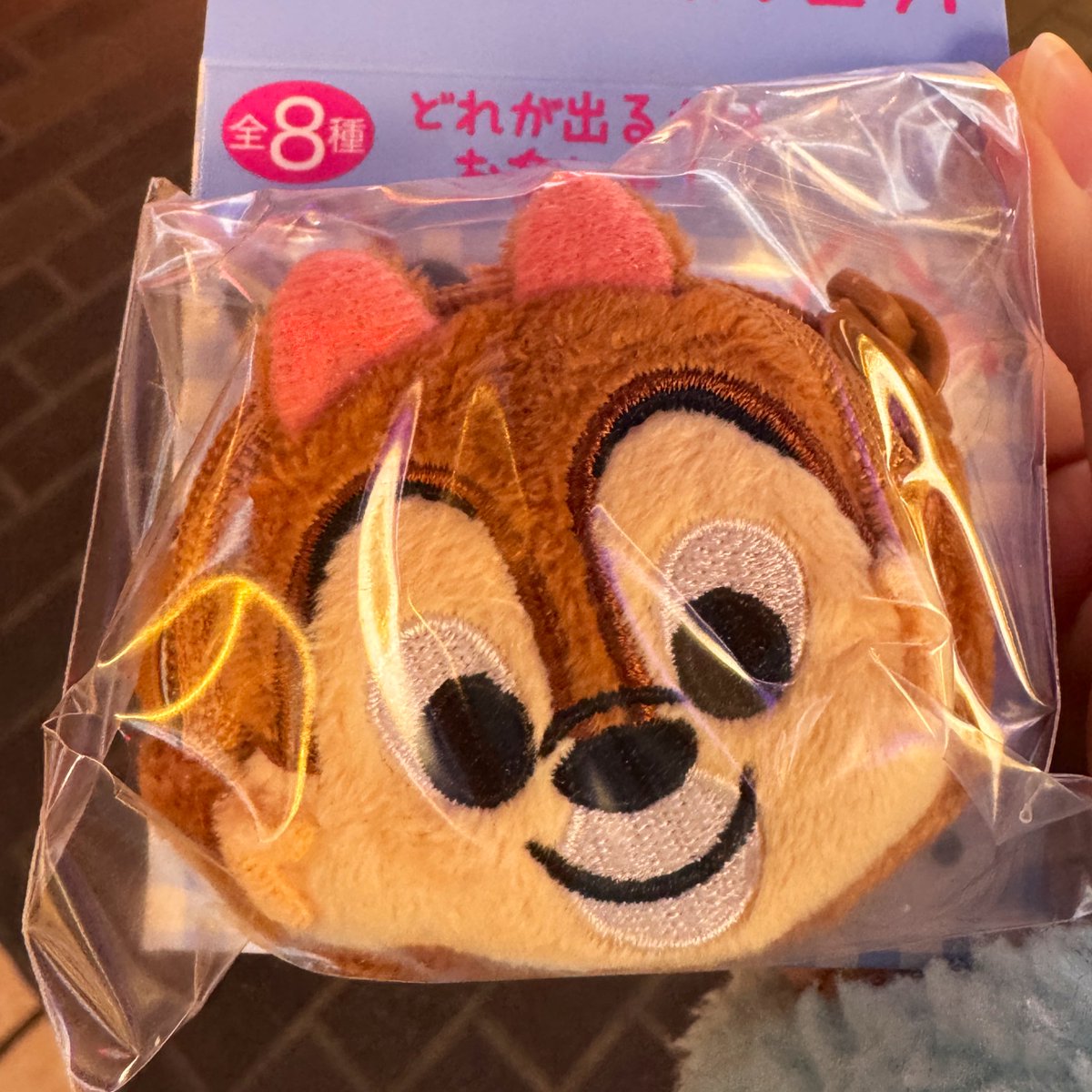 nyuyo69's tweet photo. [交換]
ディズニーストア 
ぬいぐるみポシェット

譲　チップ

求　ミニー ミッキー

本日20時くらいまででしたら舞浜で手渡しできます。
明日はランドに1日いますので、そちらでの交換も可能です。郵送も可能です。
可能な方お願いいたします🙇🏻‍♀️

#TDR_trade  #TDR__trade https://t.co/Jy0jRuHHuz