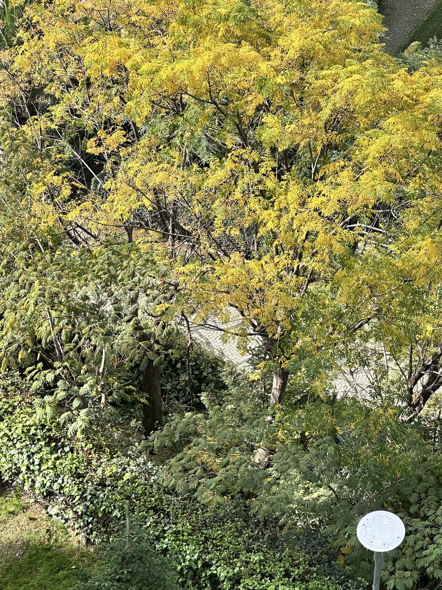 Kimi insanlar, sınıf atladıklarında geçmişlerini, dostluklarını ve yaşanmışlıklarını silip yeni bir çevreye karışırlar. Bu, bir süre için parlak bir yenilik gibi görünür. Fakat bir gün, sessiz bir boşlukta fark ederler: “Yalnızlığım, insanlardan değil, eski benliğimi geride