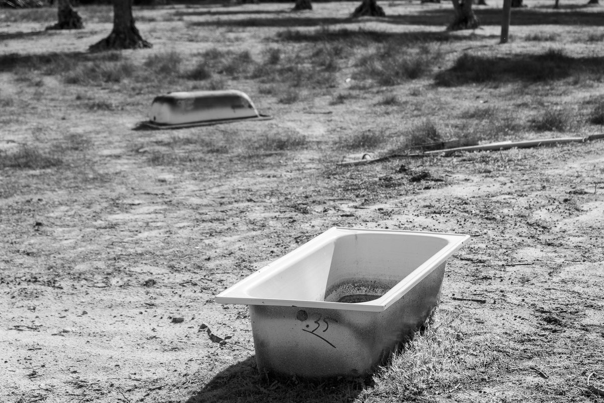 zeartur's tweet photo. Mora
Novembro 2025
#Alentejo  #photography #pausa #vagar #vaguear #DeMora #Mora #VilaDeMora https://t.co/8bA78zvgrU