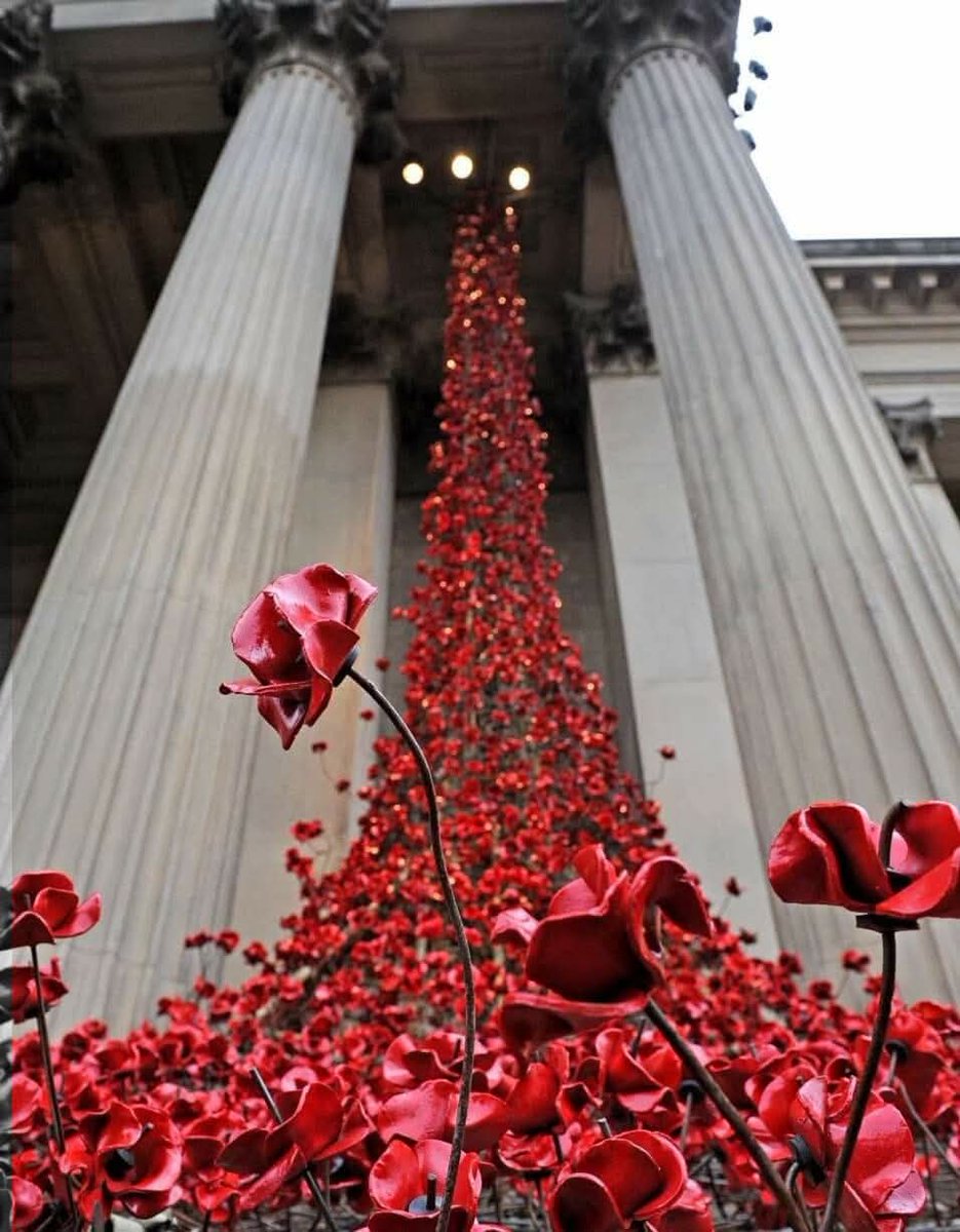 Vicky_Freeman's tweet image. Lest We Forget