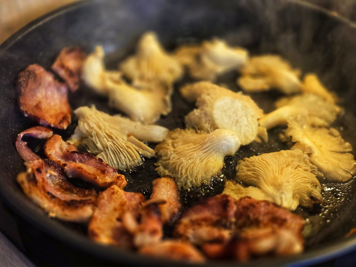 Brokastīs bija dubultais avokado tosts ar dūmotu bekonu, sārto lapu salātu, tomātu, Overņas Cantal jeune un austersēnēm. Vēl piedalījās fetas salāti un sāļajā sviestā cepta klasiskā franču omlete ar mīkstu, teju tekošu, viducīti.