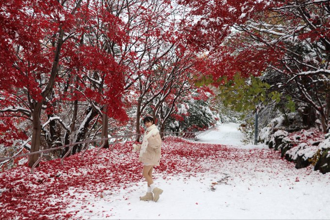 菊池優花のTwitter画像29