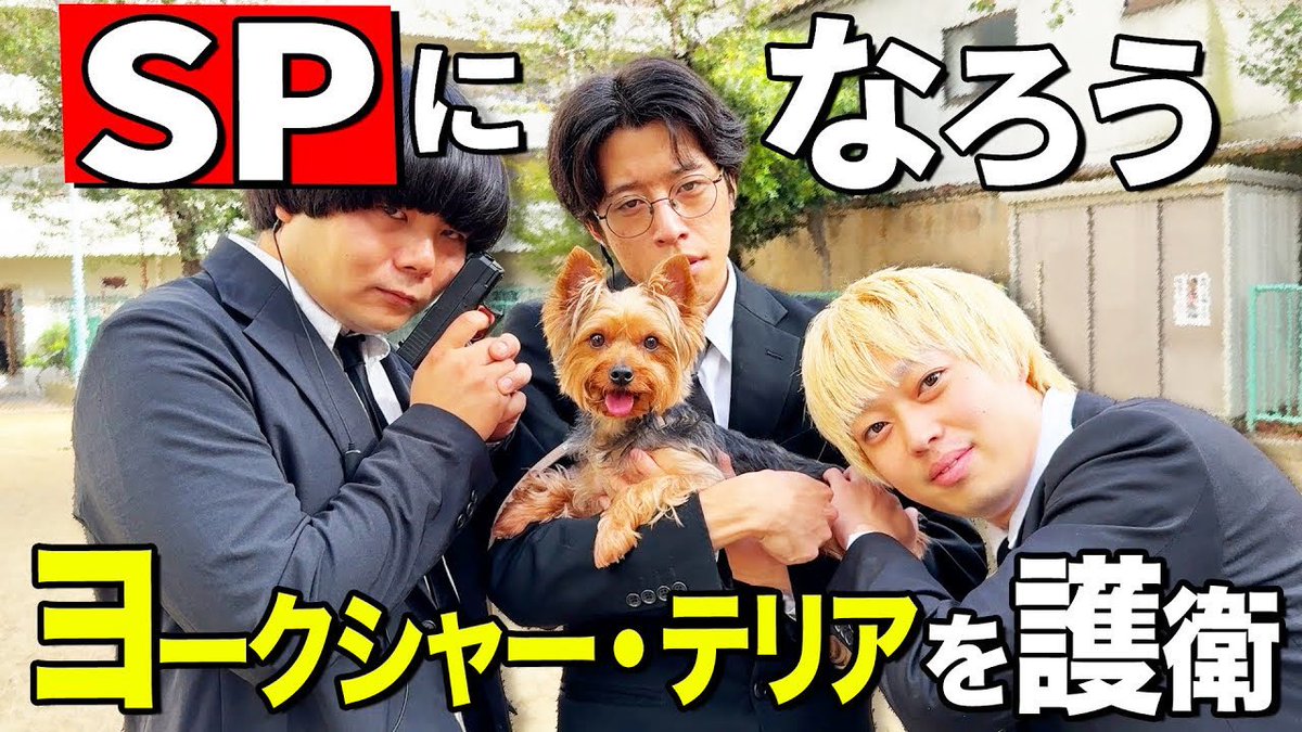 アンティークの犬さん イトウマキ on X