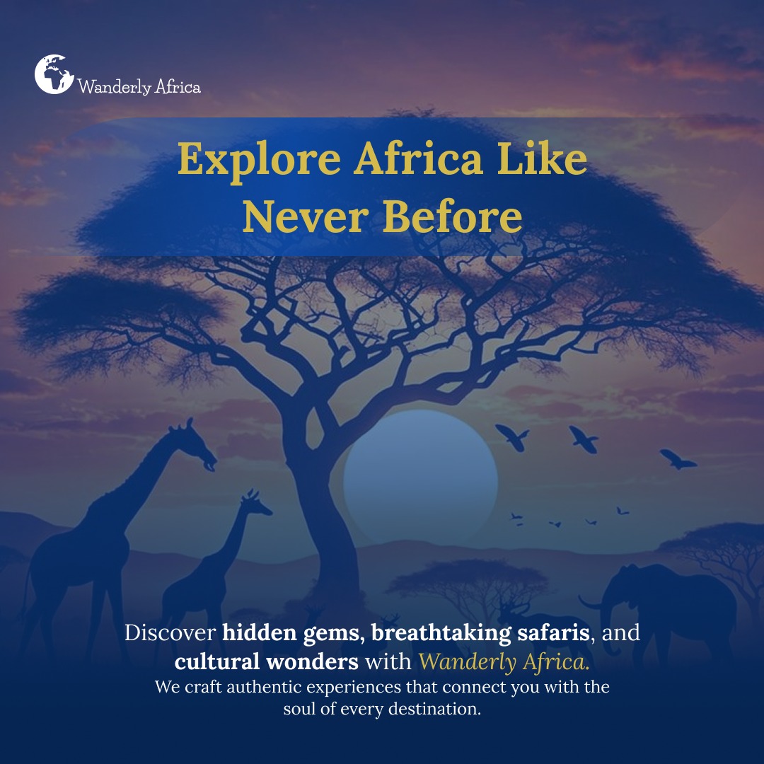 Lucydesigns._ tweet media