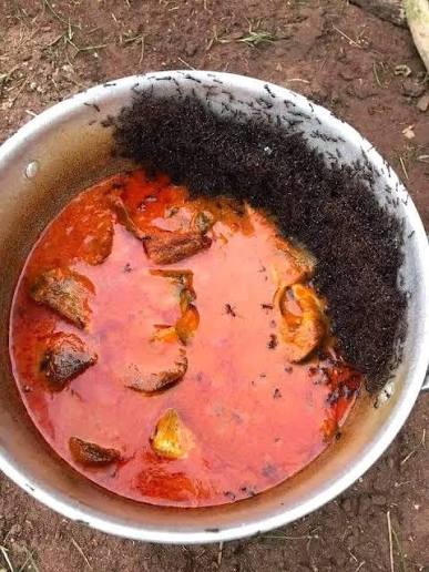 <a href="/Medayese_Ijesa/">Medayese Ijesa</a>