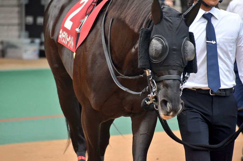 けーさん☆聖奈！ on X