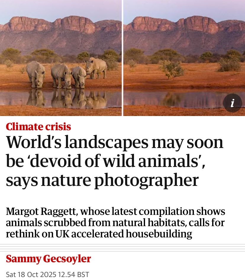 Climate Dad tweet media
