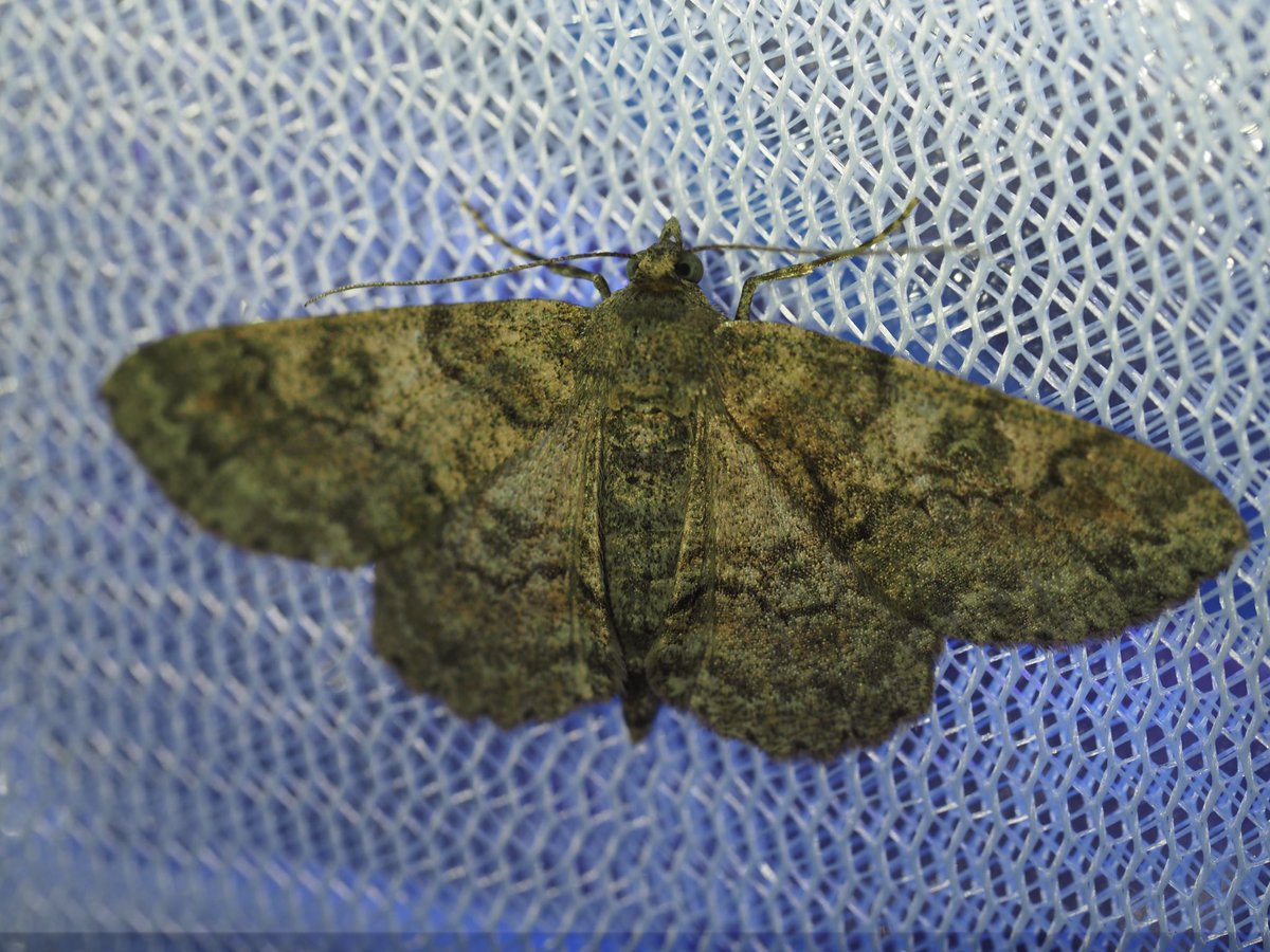 壱行 (@gnUUIiXD6792550) / Posts / X