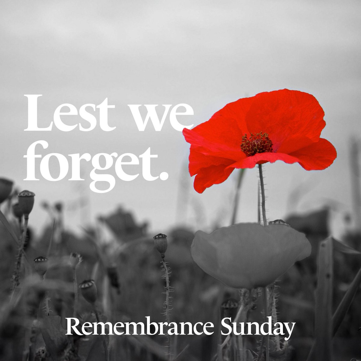 At the going down of the sun and in the morning,

We will remember them.

#LestWeForget #RemembranceSunday