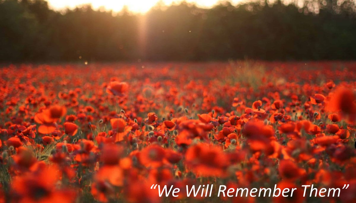 On Remembrance Sunday, we remember those who have fought for freedom and given their lives.

We also remember Jesus who gave his life so that anyone who believes in him may not perish but have everlasting life.