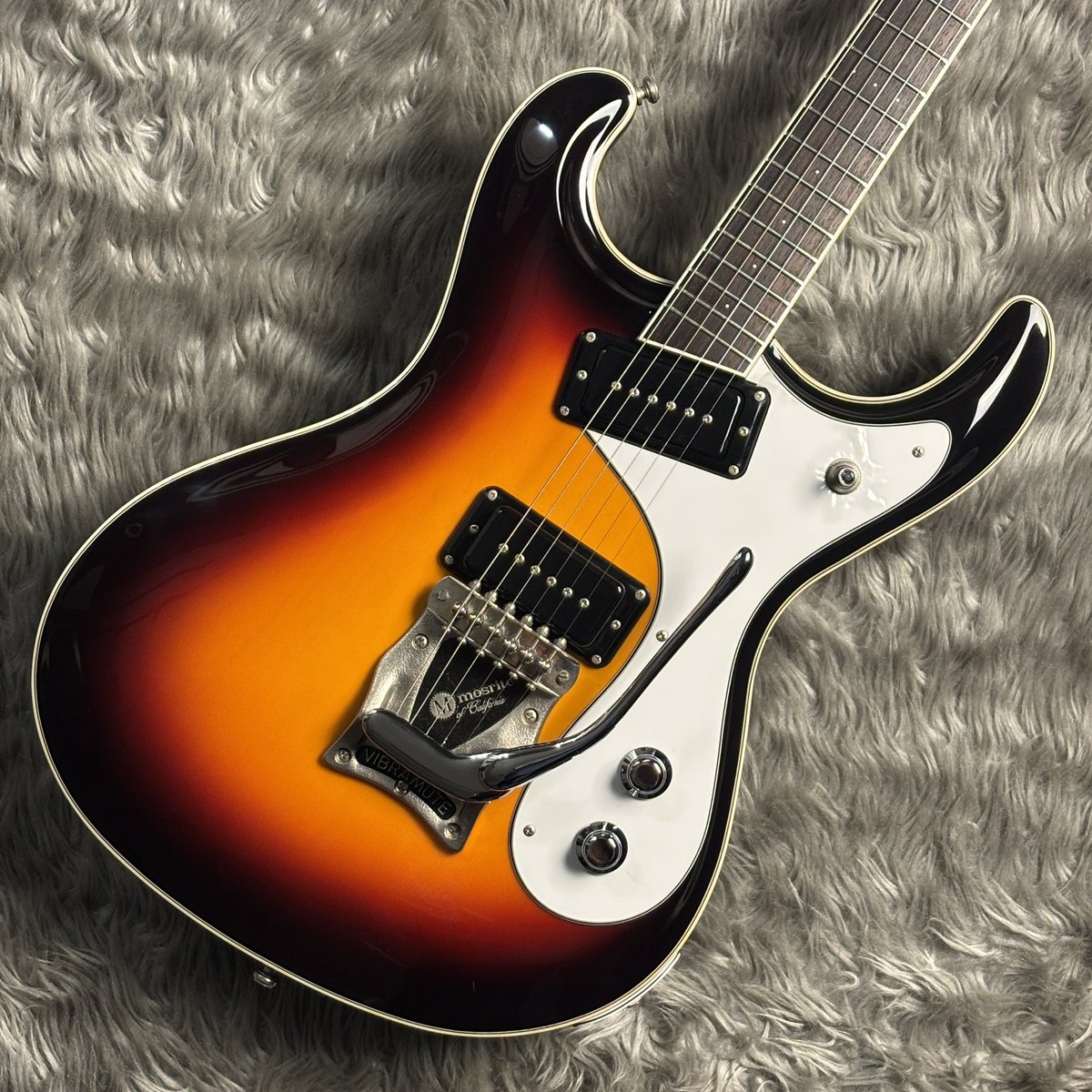 撮影完了しました。