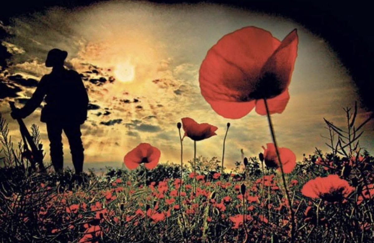 Rob Scott tweet media