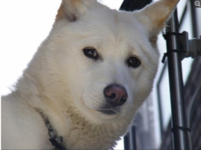 <a href="/YerbinY/">낭만술사</a> 조만간.. 낭만술사님의 다음 쓰게 될 게시글..

<순자산 20억이 넘어가며 달라진 점>