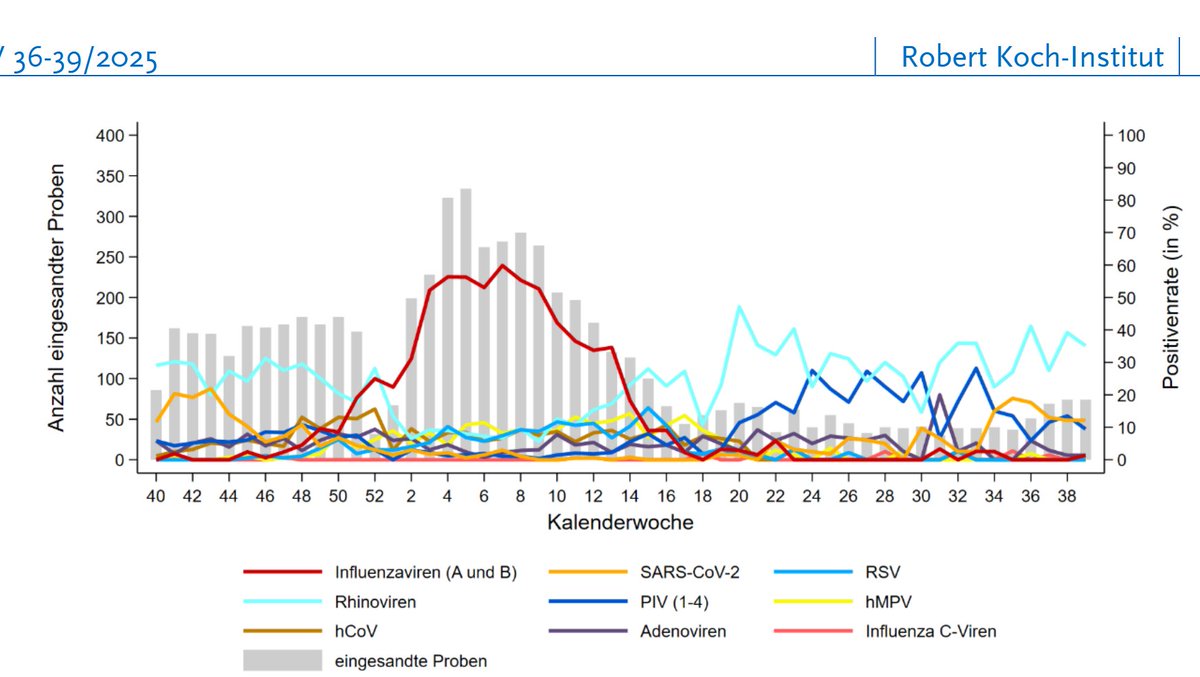 Erkältung aktuell
Am Jahresanfang 2025 kamen Rhinoviren, gefolgt von SARS-CoV-2. Dann Influenza- und danach Rhino- und Parainfluenzaviren. RSV spielte keine Rolle. Sicher unterscheiden kann man die Viren nur durch Labortests. Alle sind ständig da und mutieren.

Hintergrund: Die