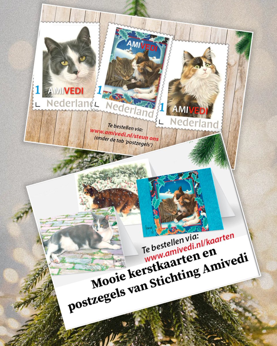 Het einde van het jaar komt eraan – het perfecte moment om je dierbaren te verrassen met een mooie kerstkaart. Bij Amivedi vind je prachtige kaarten die je gemakkelijk via onze webshop kunt bestellen.👉 Bekijk onze kerstkaarten: amivedi.nl/steun-ons/webs…