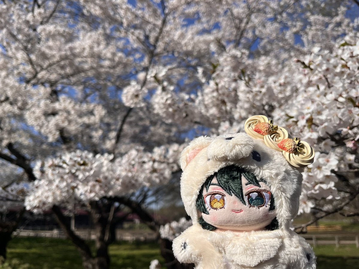 おもちもちもち (@0___pui) / Posts / X