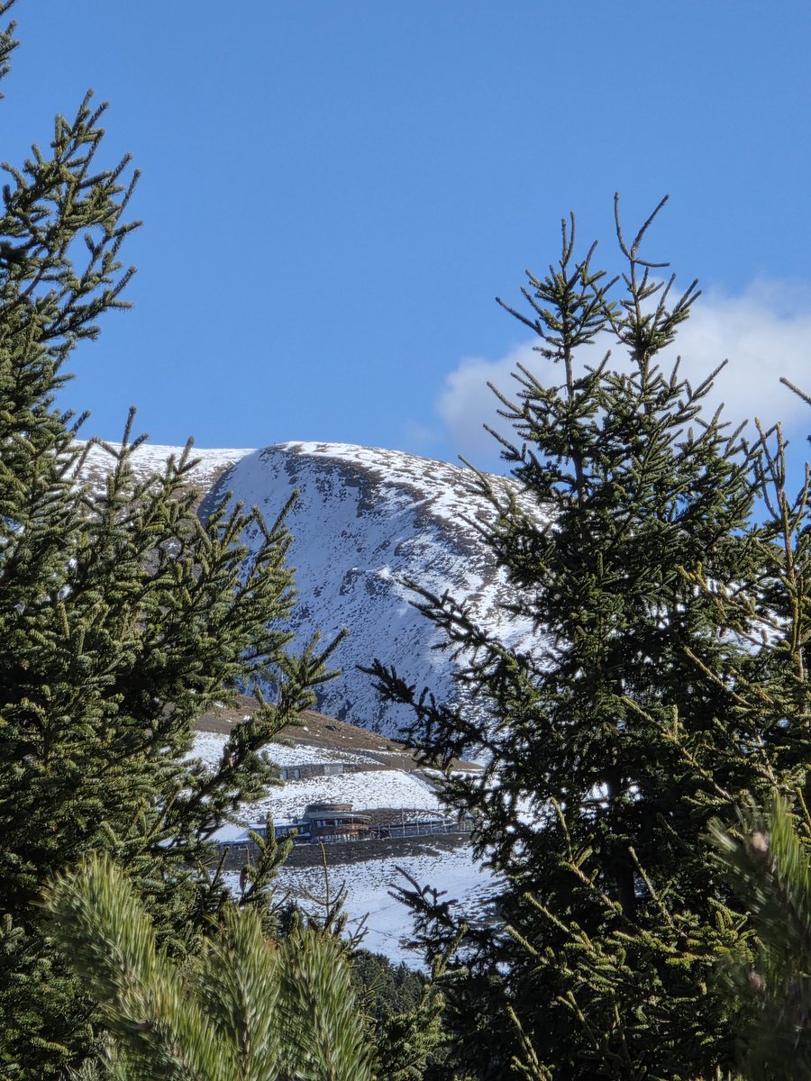 tinteundblut's tweet photo. Ja, wo ist denn die Rossalm, wo ist sie nur? 🤭🫶🌹
#Rossalm #Sonnenschein #Idylle #Sonntagsfeeling https://t.co/RkhUEgn4ep