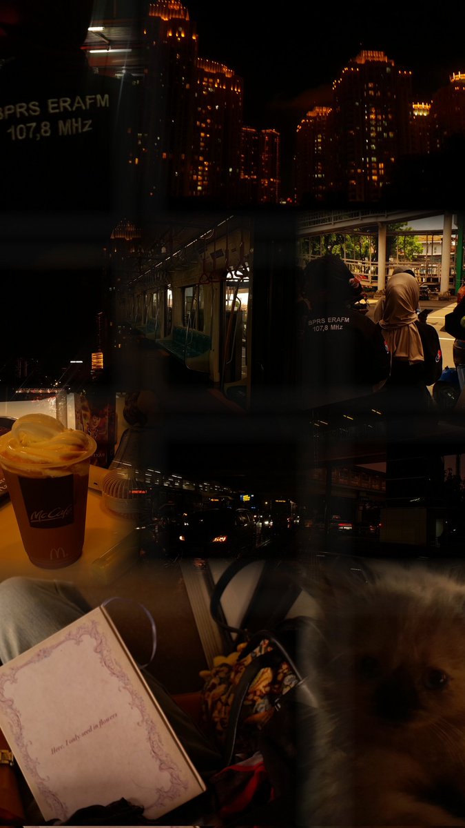 animooflore's tweet image. Through my cam