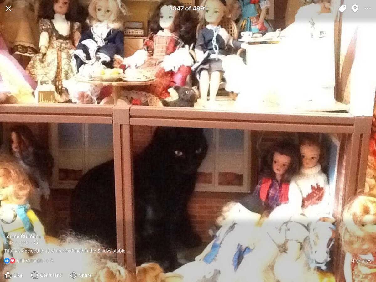 Louise Culmer tweet media