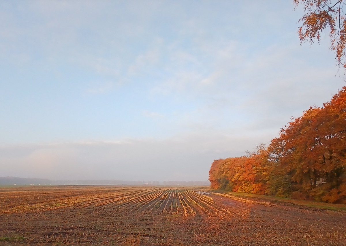 Mooi Nederland (als je het maar wilt zien 😉)