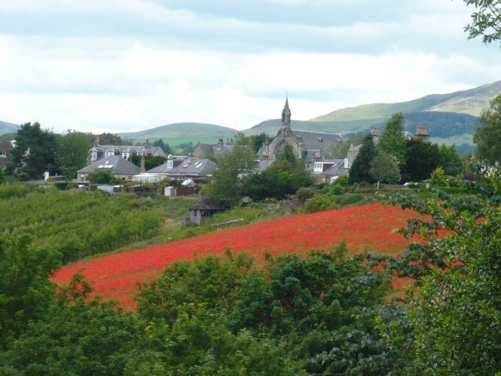 jobutlerthomas's tweet image. #worldpeace.       .....Remembrance ...Hope for a peaceful future ...