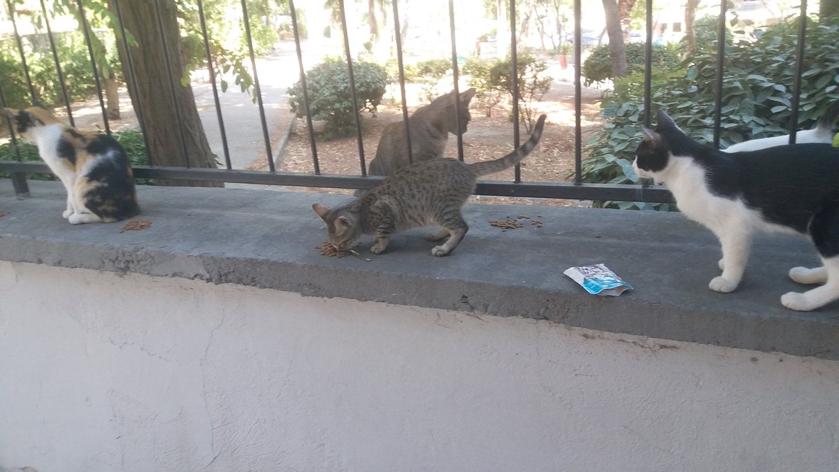 Siz Kimsiniz İnsan Olmayı Yasaklıyorsunuz? <a href="/AnkaraValiligi/">T.C. Ankara Valiliği</a>
#BESLEYECEĞİZ