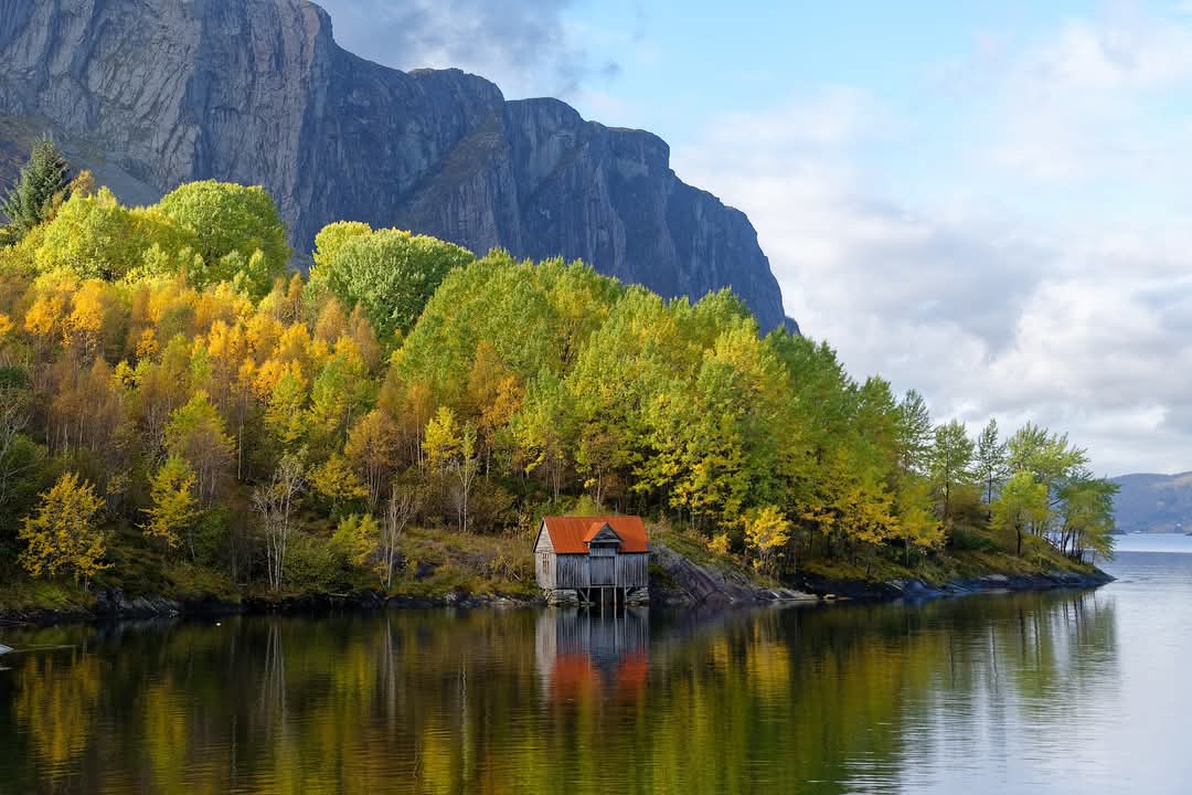 elusive_moose's tweet image. From Hyllestad, western Norway 😍 Photo Mal Dickson #fallcolors 🍂