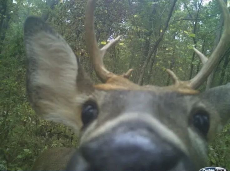 ☆gre☆ tweet media