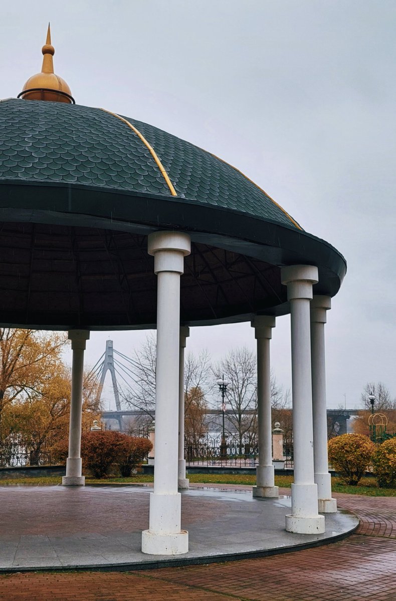 піца з ананасами (@stacey__leaf) on Twitter photo 