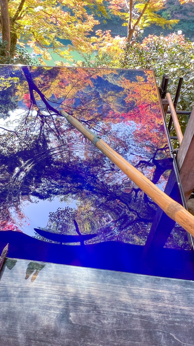 chipcodesign's tweet image. 嵐山祐斎亭、窓からの景色だけでなく机や水面に映りこむ景色も計算された美しさでため息ものだった。他の季節にも行きたい！