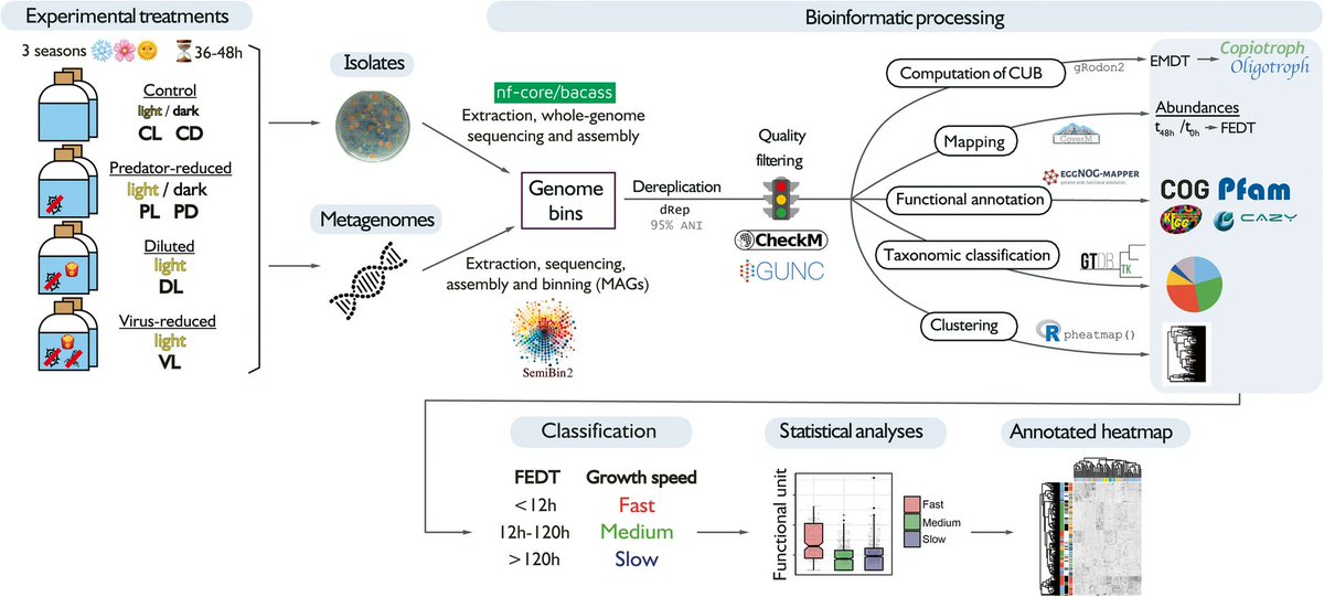 Decoding the genetic drivers of marine bacterial blooms through comparative genomics
#microbiology 
<a href="/MicrobiomeJ/">Microbiome</a> 
microbiomejournal.biomedcentral.com/articles/10.11…