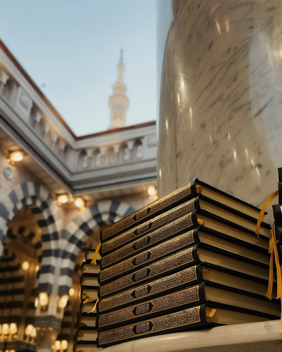 "يبقى القُرآن أعظم ما تُقوَّى به القلوب، وتُزكَّى به النفوس، وخيرُ أنيسٍ في وسط مكابِد الدنيا".

 #المدينة_المنورة #المسجد_النبوي